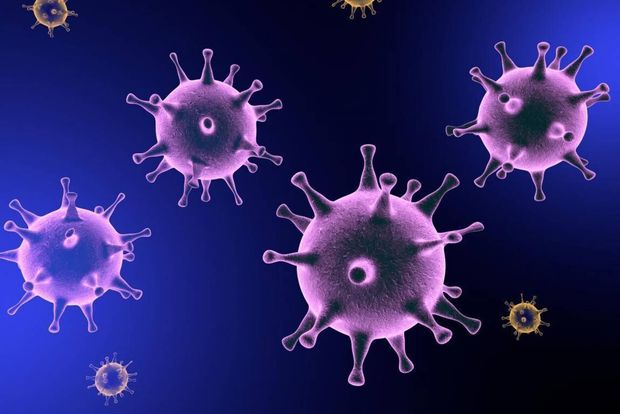 تعداد مبتلایان به ویروس کرونا در سیستان و بلوچستان به پنج نفر رسید