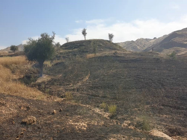 آتش سوزی در مزارع شهر سرداران شوشتر مهار شد