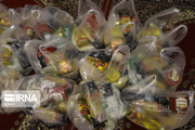 ۲۰۰ بسته‌ غذایی بین نیازمندان مناطق محروم قزوین توزیع شد