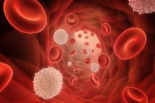 خون O منفی در جهان کمیاب شد
