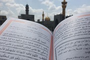 چرا امام بر خواندن زیارت رجبیه تاکید داشت؟