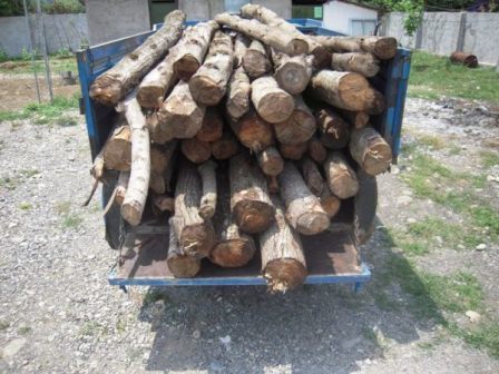 کشف سه تن چوب جنگلی قاچاق در رودبار