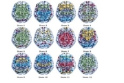 12 حالت مخفی در مغز کشف شد