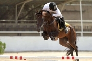 68 سوارکار در مسابقات پرش با اسب جام اکباتان شرکت کردند