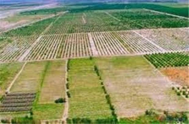 یک میلیون هکتار از اراضی کشاورزی حدنگاری شده است