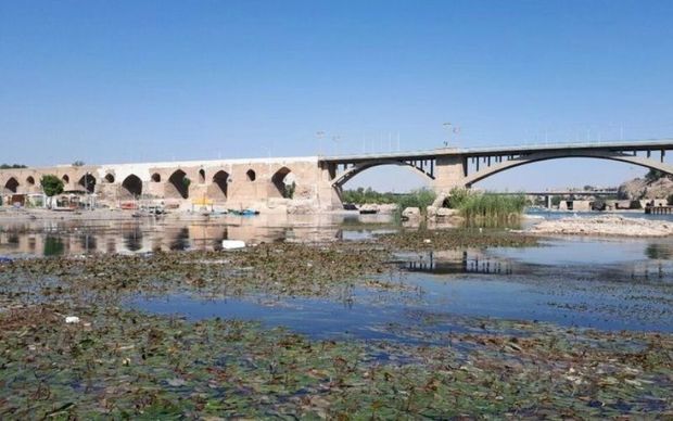 جلبک و فاضلاب ، تهدیدی جدی برای حیات رودخانه دز