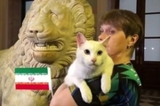 گربه پیشگوی روسی: ایران مقابل مراکش برنده می شود+ عکس