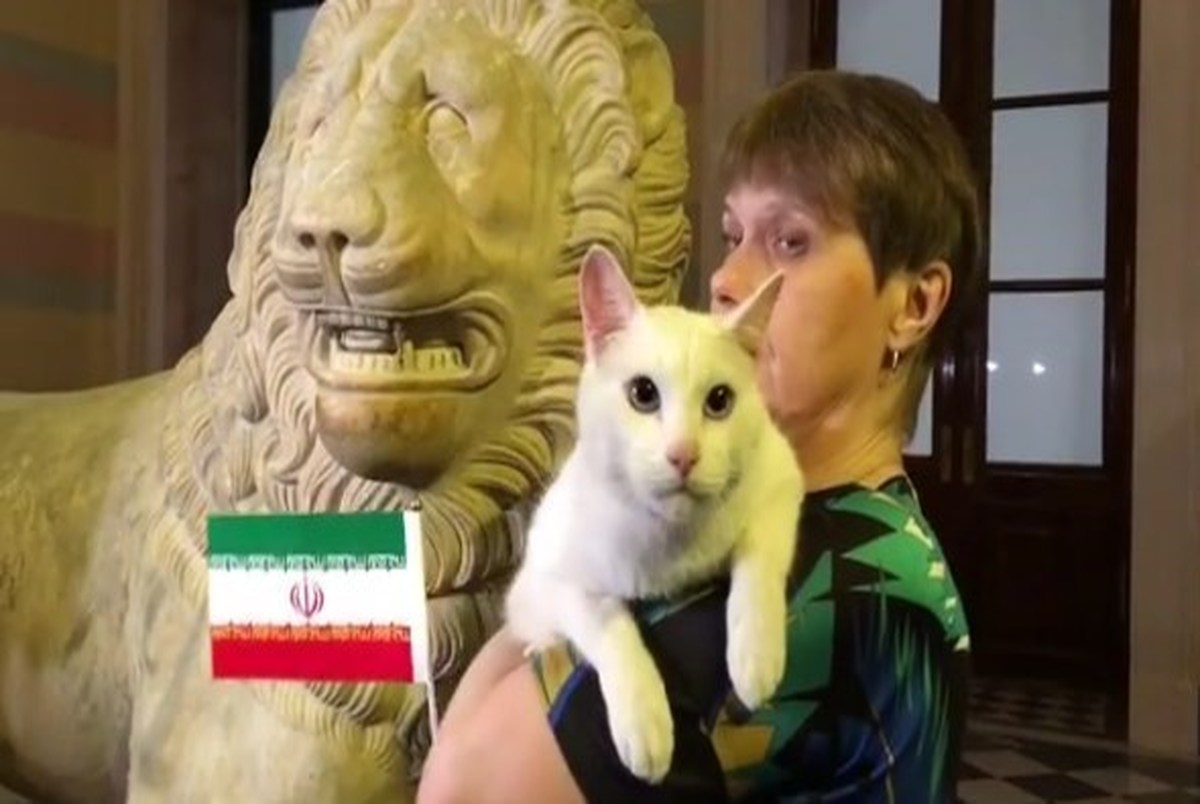 گربه پیشگوی روسی: ایران مقابل مراکش برنده می شود+ عکس