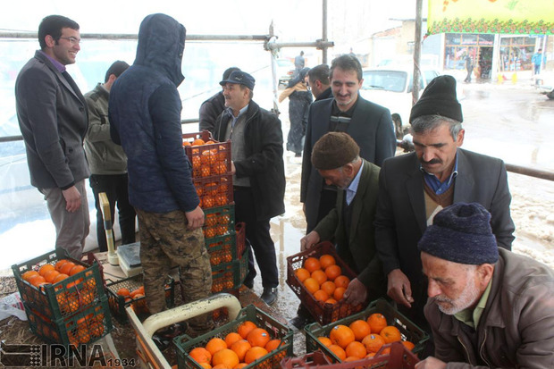 توزیع میوه در استان اردبیل  تعطیلات عید نوروز  ادامه می یابد