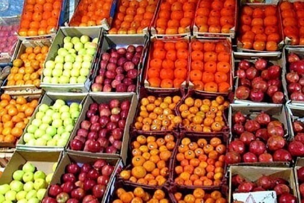۲۰ هزار تن پرتقال شب عید از مازندران به استان ها ارسال می شود
