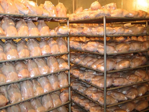 270 تن گوشت و مرغ شب عید در انبارهای قم ذخیره سازی شد