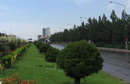 مدیرکل منابع طبیعی استان تهران: 60 هزار هکتار فضای سبز دراستان باید ایجاد شود