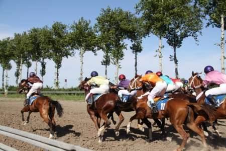 رقابت 87 راس اسب در هفته پنجم مسابقات اسبدوانی کورس بهاره گنبدکاووس