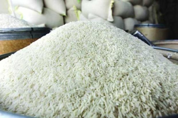 پیش بینی برداشت 45 هزار تن برنج در چرداول