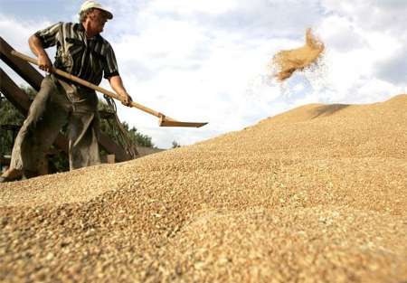 عملیاتی نشدن طرح ارائه حواله خرید بذر و کود به کشاورزان در خدابنده