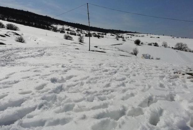 سیل و برف 180 میلیارد تومان به کشاورزی شرق مازندران خسارت زد