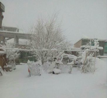 بارش 36 سانتی متر برف در کوهرنگ  امدادرسانی به 20 خودرو گرفتار در برف