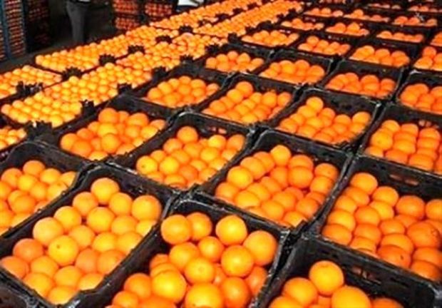 142 غرفه برای عرضه میوه در همدان راه اندازی شد