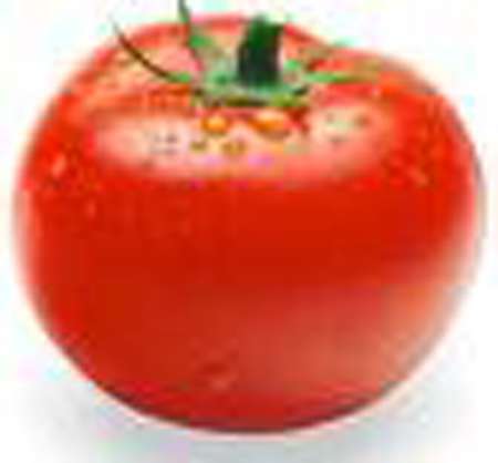 بازگشت قیمت گوجه فرنگی به نرخ قبلی در روزهای آینده