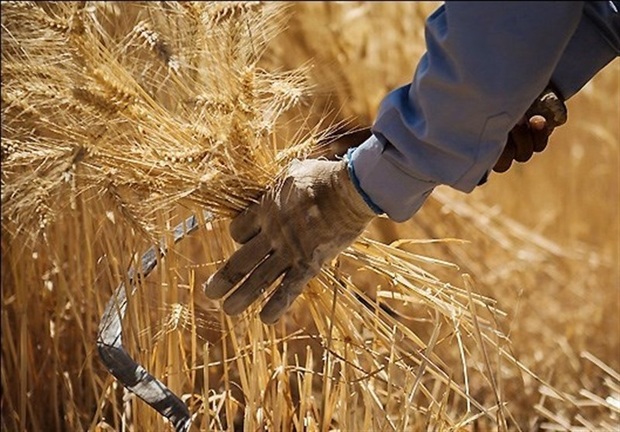 13درصد از وام بانک کشاورزی خراسان شمالی بازپرداخت نشد