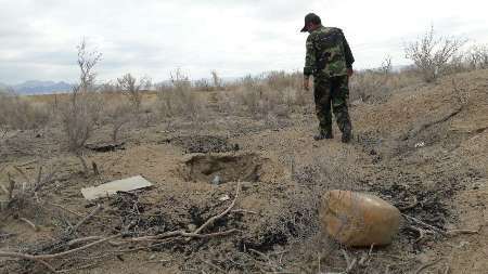 33 تن چوب تاغ قاچاق سال 95 در استان سمنان کشف شد