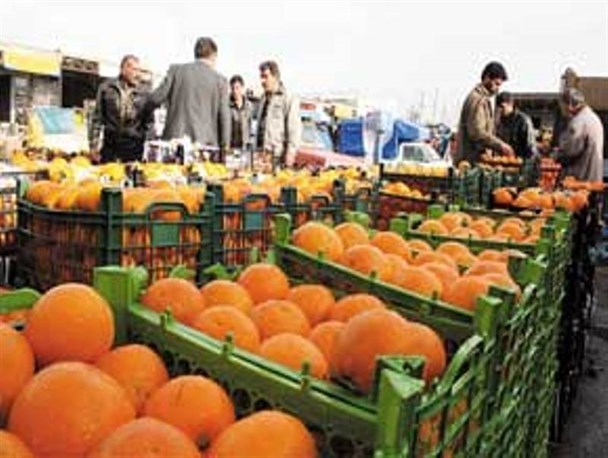 تامین یک هزار و 500 تن سیب و پرتغال برای مصرف مردم قزوین در ایام نوروز