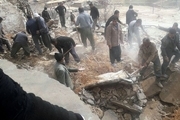 تخریب منزل مسکونی در دیشموک باعث تلف شدن 10 راس دام شد