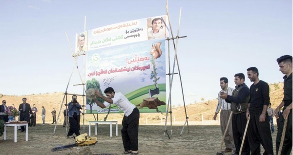 اقدام جالب جوانان مریوان برای حفظ جنگل‌ها  تبر سبز برای صیانت از طبیعت
