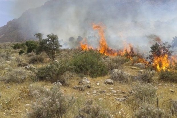 9 هزار و 37 هکتار از منابع طبیعی قزوین دچار آتش سوزی شده است