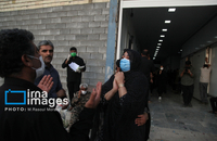 شناسایی شهدای دبستان میناب (11)