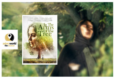 «در آغوش درخت» راهی جشنواره آمریکایی شد
