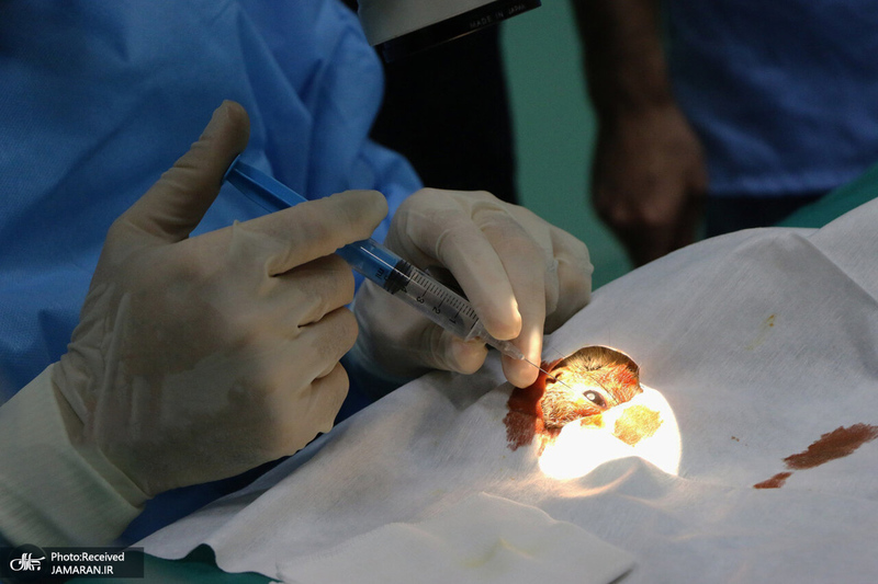 منتخب تصاویر امروز جهان- 21 مهر