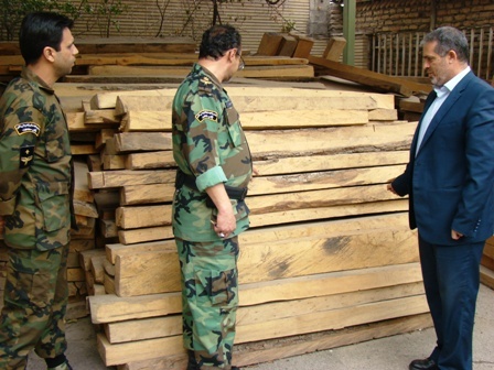قاچاقچیان چوب زیر ذره بین پلیس و ماموران منابع طبیعی استان تهران