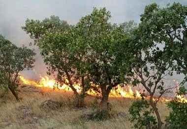 آتش سوزی در ابیانه به دلیل بی احتیاطی