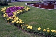 کاشت 270 هزار گل پائیزه در فضای سبز بجنورد آغاز شد