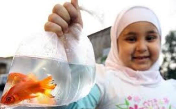ماهی ها و سبزه های نوروزی در بوستان های تبریز جمع آوری می شود