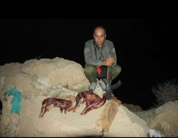 شهادت یک محیط بان در منطقه حفاظت شده خاییز + عکس