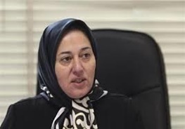 کارآفرین ملی در سمینار ماهانه کانون کارآفرینان استان زنجان سخنرانی می کند