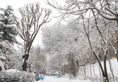 کاهش دما تا ۸ درجه در تهران / پیش بینی بارش برف و باران
