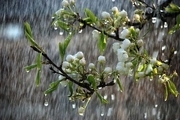 بارش‌های بهاری در چهارمحال و بختیاری تداوم می‌یابد