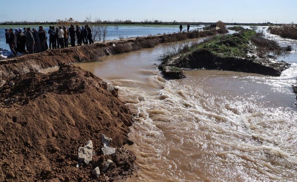 شکستن سیل بند روستای سفاک شهرستان باوی به دست روستاییان و ورود سیلاب به شرکت نیشکر دهخدا