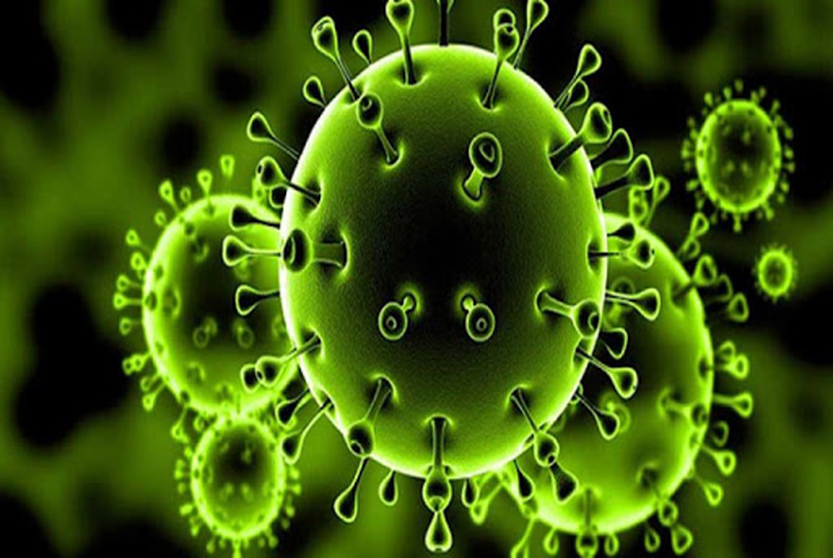 محققان دنیا ادعای ۲نوع ویروس کرونا را زیر سوال بردند