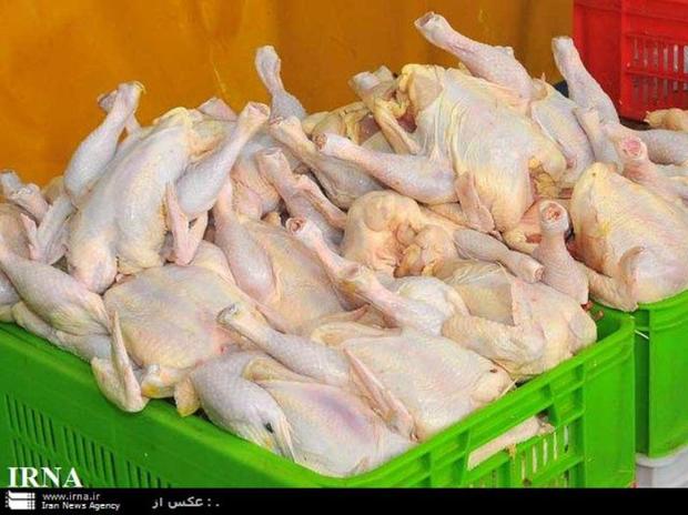 خراسان رضوی کمترین قیمت گوشت مرغ در کشور را دارد