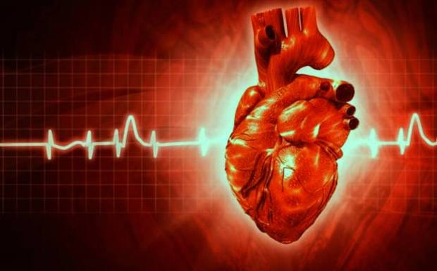 بیماری های قلبی-عروقی عامل اول مرگ در گلستان است