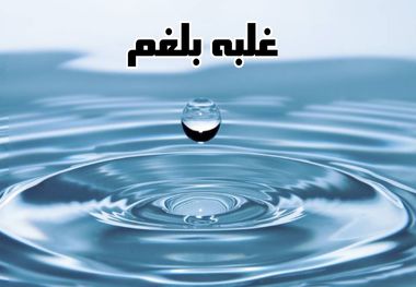 بهترین داروی گیاهی ضد بلغم
