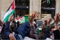 اعتراضات به جنگ علیه غزه از دانشگاه های آمریکا به فرانسه و آلمان رسید