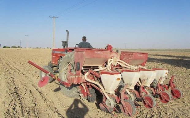 کشاورزان ابرکوه نسبت به کشت گندم پاییزه تسریع کنند