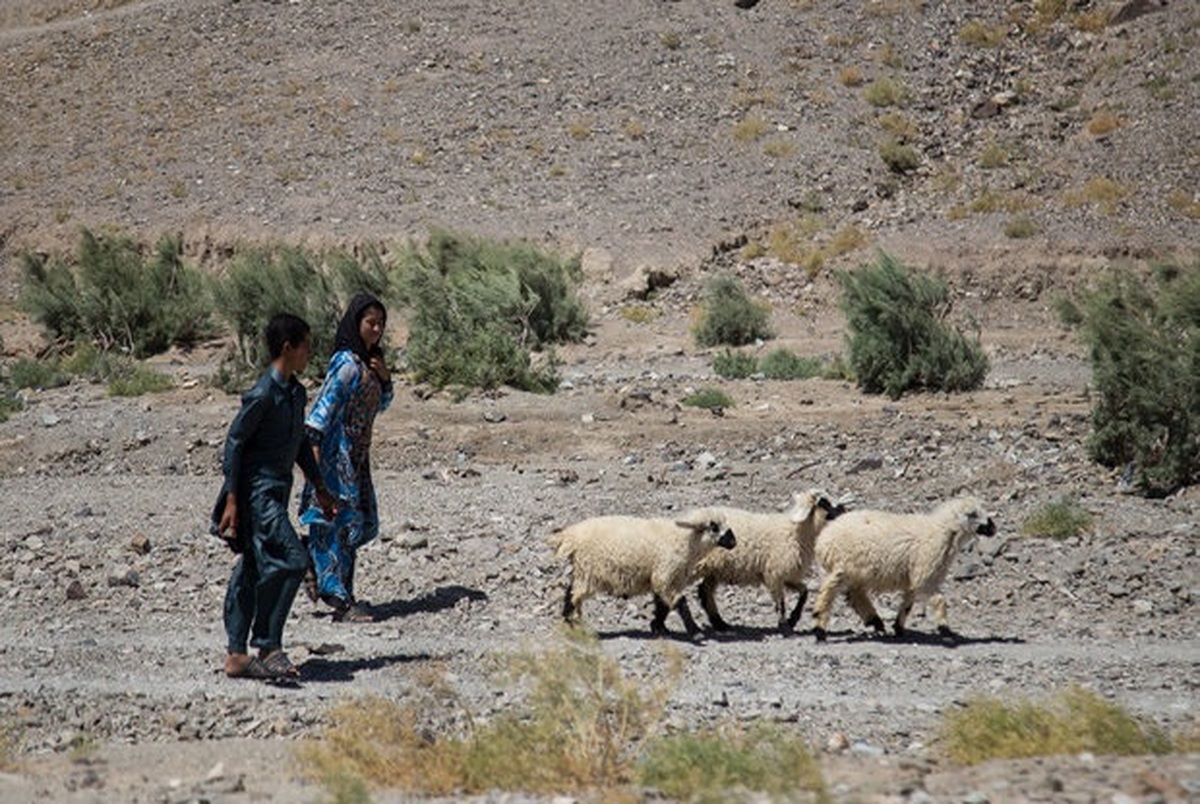 خشکسالی نیمی از روستاهای خراسان جنوبی را خالی از سکنه کرده