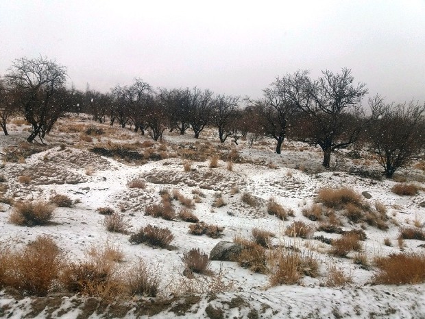 برف تعدادی از روستاهای بخش مرکزی مهریز را سفیدپوش کرد
