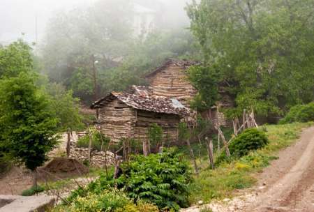 استقرار یکهزار و 300 روستای مازندران در داخل جنگل